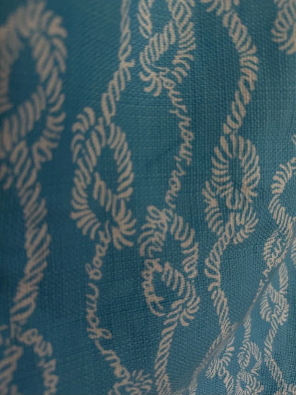 Lilly Pulitzer Row Your Boat Blue and White Rope Print Sleeveless Shift Dress - Picture 7 of 14